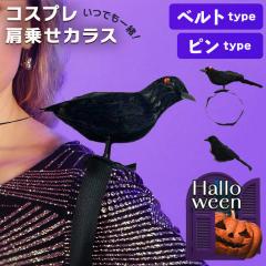 V łꏏIRXv悹JXIׂ2^Cv fB[X Y LbY q nEB  RXv RX`[ ߑ J