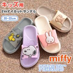 V LbYLN^[EVA_CJbgT_ q fB[X Xbp  ؂ x_  O  _炩 y 