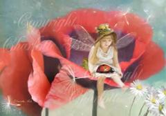  o[~[îƊoĂĂˁj|XgJ[h Vg d G bZ[W J[h tFA[ GWF tHgOt A[g Charl