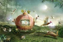 ���[�����C�g�p���[�h  �O���[�e�B���O �J�[�h  �V���[���b�g�o�[�h �V�g�G�� �d���G�� �d���G�� �t�F�A���[ �G���W�F�� �t�H�g�O���t �A