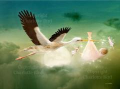 Vg d G U Mtg iREmg^ł蕨j  O[eBO bZ[W J[h tFA[ GWF tHgOt 