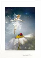 Vg d G [ CN ~[ X}C tHgOt tFA[ GWF A[g CeA BNgA Charlotte Bird V[