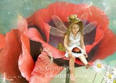   o[~[îƊoĂĂˁj  O[eBO J[h  V[bgo[h VgG dG GtFA[ GWF t