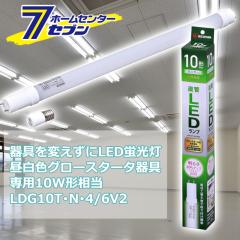 ςLEDu LEDǃv 10` j[A F LDG10TN4/6V2 [Ɩ d Hsv {̊sv 