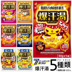  5A\[gZbg i60gx5j   [  Y_  byfz ܂Ƃߔ Zbg oC\ biso