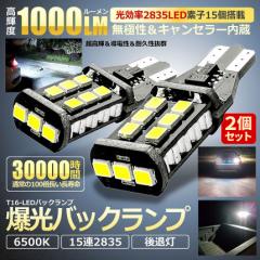 ԗp LED obN u[L v T16 ou 2 1000LM 邢 12V 24V  Cg LZ[ ɐ 15A 2835 SMD    65