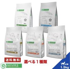 �y�I�ׂ�1��ށz�l�C�`���[�Y�v���e�N�V���� �z���C�g�h�b�O 1.5kg ���� �T�[���� �z���C�g�t�B�b�V�� �j�V�� �C���Z�N�g ���K�i �܂₯ 