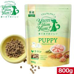 YumYumYum! ������������ �p�s�[ Happiness plus�{  800g ���K�i ���Y�f�� �h�b�O�t�[�h �h���C�t�[�h �ۑ��� ���F�� ������ �����Y���� 