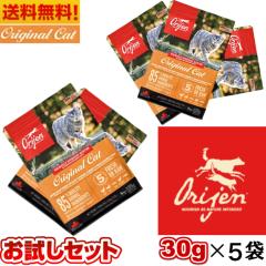 �y�ܖ�����2027.01.30�z�������� �I���W�� �I���W�i�� �L���b�g �i�� �L���b�g���L�g�D�� �j �T���v�� 30g 5�܃Z�b�g �L���b�g�t�[�h �o