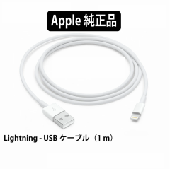 �������� iPhone�V���[�Y�{�̕W�������i�@���C�g�j���O�P�[�u�� �[�d �ʐM Lightning - USB�P�[�u�� (1m) �A�b�v�����K�i �A�b�v��������
