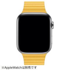 �������� �S�Ă�42mm/44mm/45mm��apple watch���f���Ή� �A�b�v���E�H�b�` ���U�[���[�v�}�O�l�b�g�� �{���U�[�x���g �F:�}�C���[������
