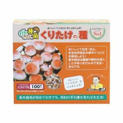 ���肽����� ���肽���̎�y100�z| �N���^�P��� �N���^�P�� ���肽���� �N���^�P�͔| ���肽���͔| ���؍͔| ���̂� ���