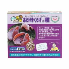 ���炰�����炰��� ���炰�����炰�̎�y100�z| �A���Q�����炰��� ���炰�����炰�� �A���Q�L�N���Q�� �����炰�͔| �L�N���Q�͔| 