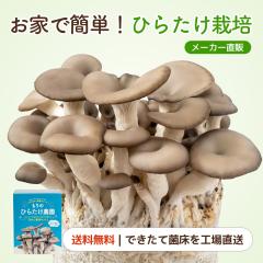 �Ђ炽���͔|�L�b�g ����̂Ђ炽���_�� | �q���^�P �ƒ�؉� ���R���� �ώ@ ��� ���� ���̂��͔| �L�m�R�͔| �͔|�L�b�g �͔|�Z�b�g ��
