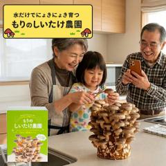 ���������͔|�L�b�g ����̂��������_��  �ő� �������� �V�C�^�P �ƒ�؉� ���R���� �ώ@ ���� ���̂��͔| �͔|�L�b�g �͔|�Z�b�g �ۏ� 