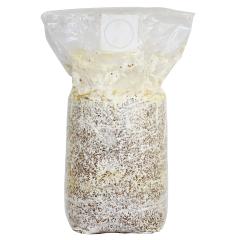 �y�u���b�N�̂݁E�t���i�E�������Ȃ��z�Ђ炽���͔|�L�b�g ����̂Ђ炽���_���������N | �q���^�P �Ђ炽�� �ƒ�؉� ���R���� �ώ@ 