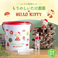 ̂_~HELLO KITTYbn[LeB LeB TI ̂ ͔̂| LmR͔| ͔|Lbg ő 