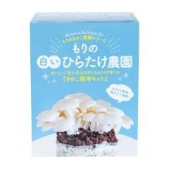 �����Ђ炽���͔|�L�b�g ����̔����Ђ炽���_�� | �q���^�P �ƒ�؉� ���R���� �ώ@ ��� ���� ���̂��͔| �L�m�R�͔| �͔|�L�b�g �͔|