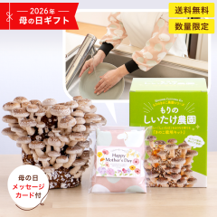 �y5��7�����珇�������z�y��̓����� �z����̂��������_���~�����A�[���J�o�[  |  nocco. ���q���z ���������͔|�L�b�g ���̂��͔| �L�m