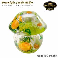 h[Cg Lhz_[ CDD5341 XvOt[ m[uX a11cm KX hCc Dream Light GERMANY