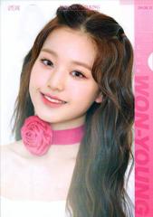 IZ*ONE (ACY) `EEHj WON-YOUNG OtBbN NAt@C