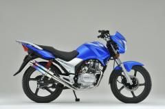 HMS ヤマハ TW200/TW225 (BA-DG09J) バイクマフラー 100φ砲弾マフラー