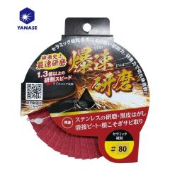 ����(���i�Z) HBTOP-S5 BTOP�Z���~�b�N �S�E�X�e�����X�p�f�B�X�N �O�a100mm ���x:80