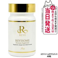 REVI �����B �\�[�� �G�N�\�\�[���T�v�� 60�� ���N�T�v�������g �y�f �������P �����b�N�X���� ��������