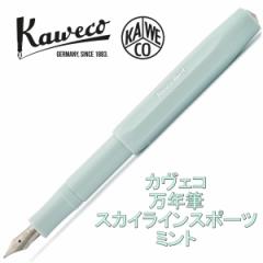 Kaweco JFR XJCC X|[c NM ~g