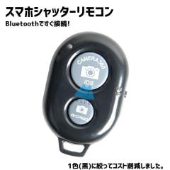 RSS-600 ACOUSTIC REVIVE（アコースティックリヴァイブ） スピーカー