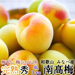 (�\��) ���n�E�~ �I�B�݂Ȃ׎Y �썂�~ �G�i �T�C�Y(4L) 3kg �a�̎R���Y�n���� �~���� �~�W���� �~�W���[�X ���~ �݂Ȃ� �썂�~ ���n