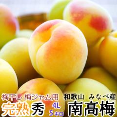 (�\��) ���n�E�~ �I�B�݂Ȃ׎Y �썂�~ �G�i �T�C�Y(4L) 5kg �a�̎R���Y�n���� �~�����A�~�W�����A�~�W���[�X�A���~ �݂Ȃ� �썂�~ ��