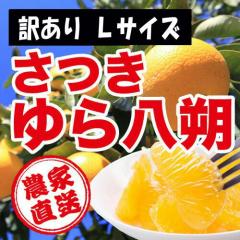 ���a�̎R���R�ǒ��_�ƒ����I���@���󂠂聦�@��������i�͂������j�@�P�O�����@�k�T�C�Y�@�L�Y�^���̑��@�킩��܎Y �y���������z