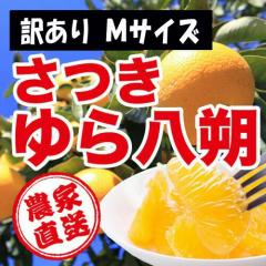 ���a�̎R���R�ǒ��_�ƒ����I���@���󂠂聦�@��������i�͂������j�@�P�O�����@�l�T�C�Y�@�L�Y�^���̑��@�킩��܎Y �y���������z