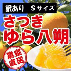 ���a�̎R���R�ǒ��_�ƒ����I���@���󂠂聦�@��������i�͂������j�@�P�O�����@S�T�C�Y�@�L�Y�^���̑��@�킩��܎Y �y���������z