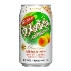 �`���[�� ����Ȃ��E���b�V�� 350ml�ʁ@24�{�~2�P�[�X�y���������z