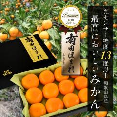 ���������ԕi�ۏ؁I �����x13�x�ȏ� �L�c�ق܂�  �M�T�C�Y 12�� /�a�̎R���L�c�݂���/���肾 �݂���