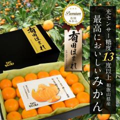 ���������ԕi�ۏ؁I �����x13�x�ȏ� �L�c�ق܂�  �M�T�C�Y 24�� /�a�̎R���L�c�݂���/���肾 �݂���