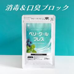 �y�w���򕔊O�i�z���L �T�v�� ������ ���� �w���򕔊O�i 24���� �g���[�` �j�I�C�P�A �x���[�N�[���u���X �E�� �^�u���b�g ���L  ��