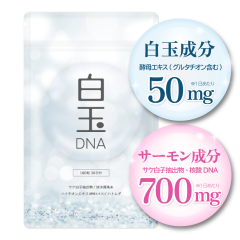 �O���^�`�I�� ���ʐ��� �j�_DNA 1������ �T�v�������g �T�P���q���o�� �^�� �n�C�`�I���G�L�X �y��G�L�X �n�g���M ���Ѝ������� Made in