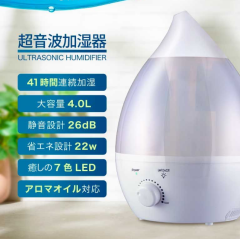 duux スチーム式加湿器（木造4畳まで/プレハブ洋室7畳まで セージ