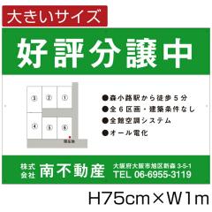 Ŕ A~Rmm H75cm~W1m sY nŔ 蕨 nŔ D]  VK bigbunjou-03