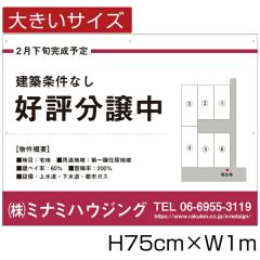 Ŕ A~Rmm H75cm~W1m sY nŔ 蕨 nŔ D]  VK bigbunjou-05