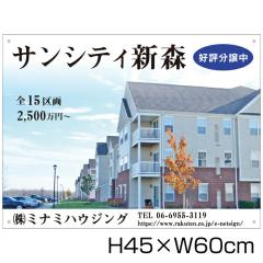 Ŕ A~Rmm H45~W60cm sY nŔ 蕨 nŔ D]  VK bunjou-07