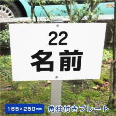 ԏ ptv[g A~pt yH165~W250mmz xtv[g Ŕ O Ж scn-chusha01