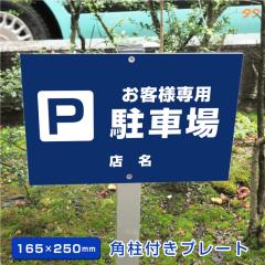 qlp ԏ ptv[g A~pt yH165~W250mmz xtv[g Ŕ qlԏ scn-chusha06