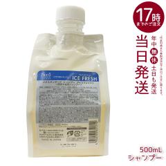 ���x�� �W�I�X�^���_�[�h �V�����v�[ �A�C�X�t���b�V�� 500mL ����P�A ��h�� ��h������ ����̊����΍� �t�P�E����ݑ΍� �玉�����