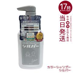 plus eau �v�����X�I�[ �J���[�V�����v�[ 280ml �V���o�[ �w�A�J���[ plus eau �_���[�W ��C �g���[�g�����g for color �J���[�L�[�v �J
