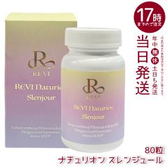 REVI �����B �i�`�����I�� �X�����W���[�� 80������ 40���� ���N�H�i �T�v�������g �X�����W���[�� SLENJOUR REVI ������b�\