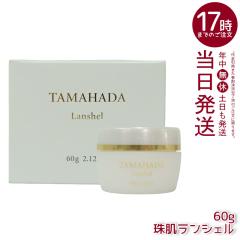 �\�j�����h �씧 �����V�F�� 60g �t�@�[�}�t�[�Y ���k�� �I�[���C������ ���e �W�F�� �X�L���P�A 1��4�� ���ϐ� ���t ���e�t �N���[�� 